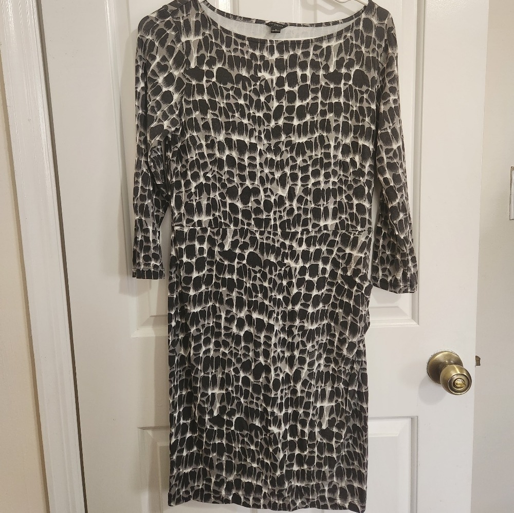 Ann Taylor Dress